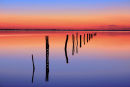 Vanishing Fence Line